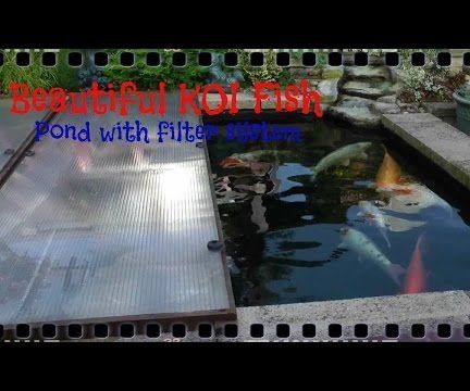 Beautiful KOI Fish With Filter System