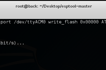 Flashing the Firmware to ESP8266-01