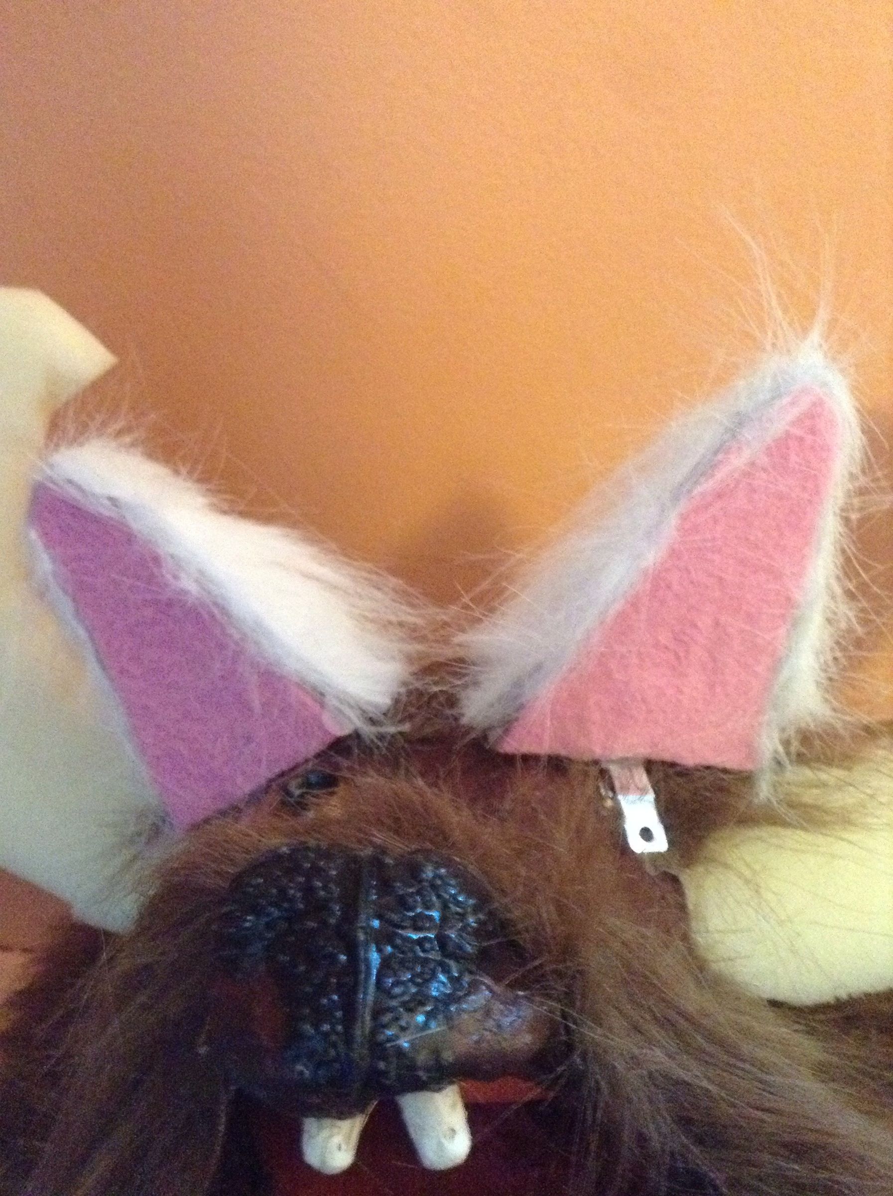 Cat Ears!