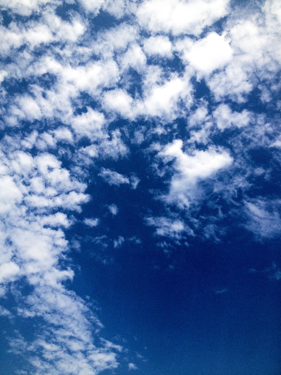 thiswayhome