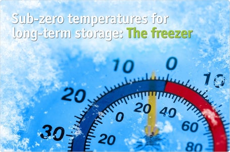 How to Preserve a Fish