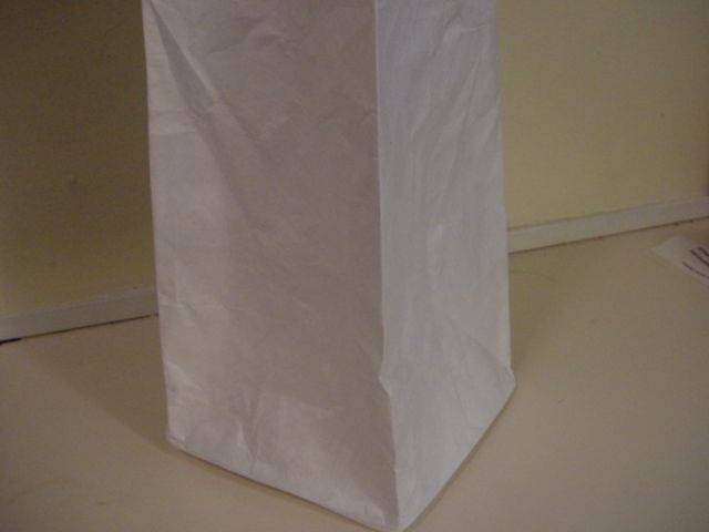 One Piece Reusable Tyvek Bag (sack)