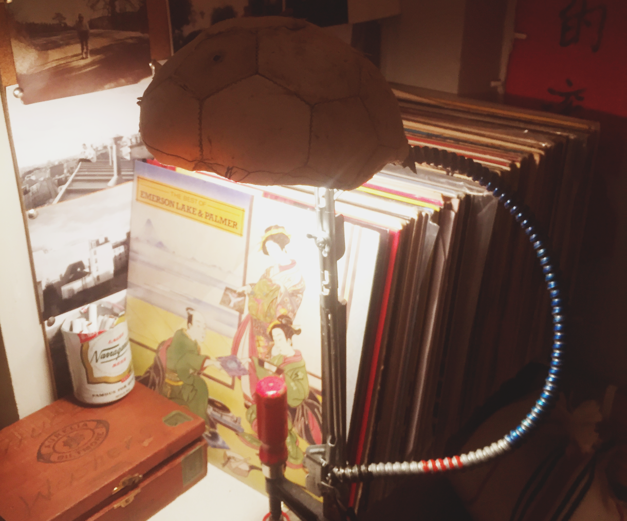 Trashy $1.00 LAMP 