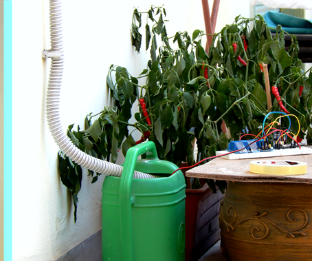 Irrigating With Recycled Water