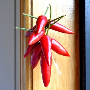 how do i dry chillies