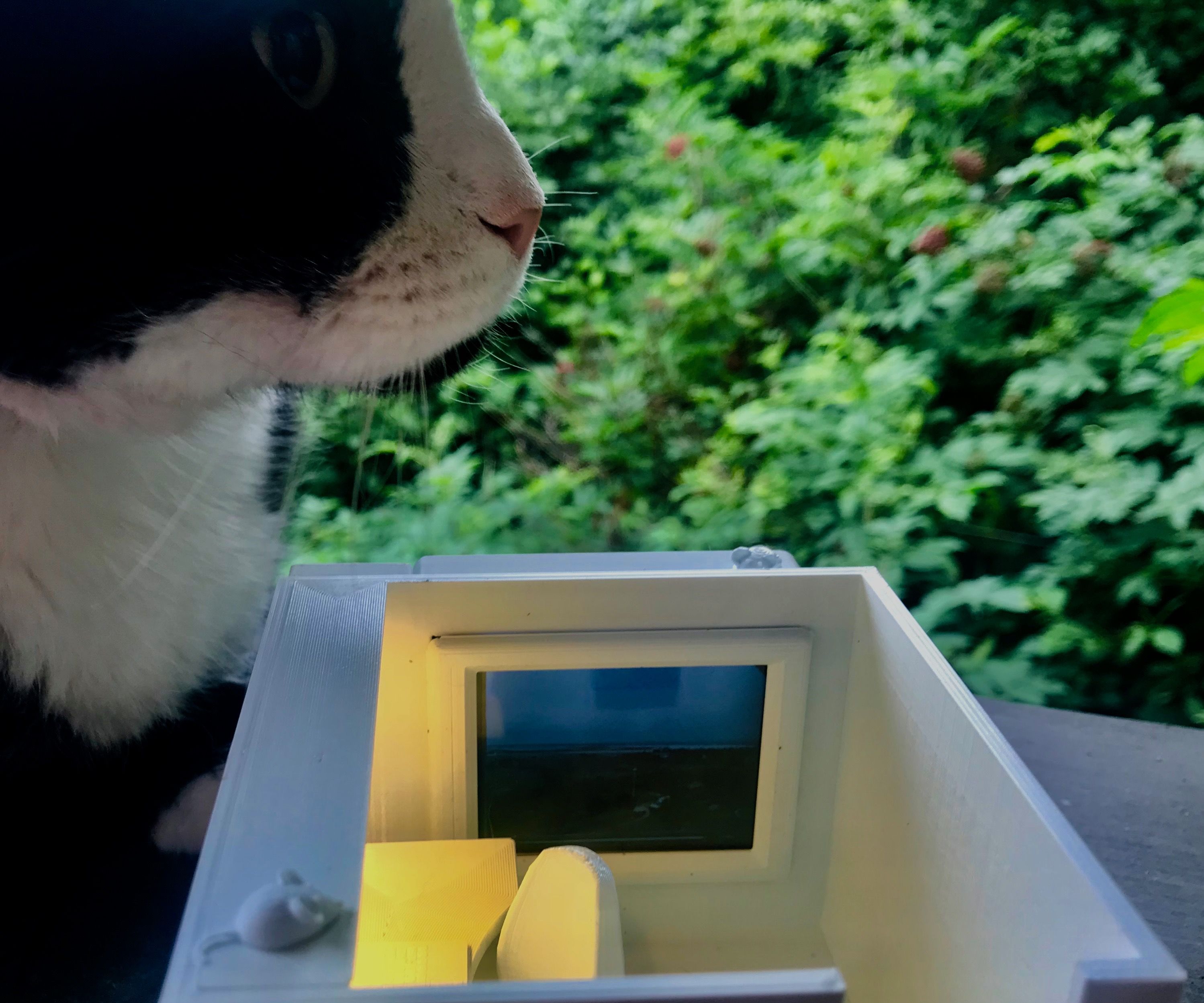 Cubicle Model With Working White Board