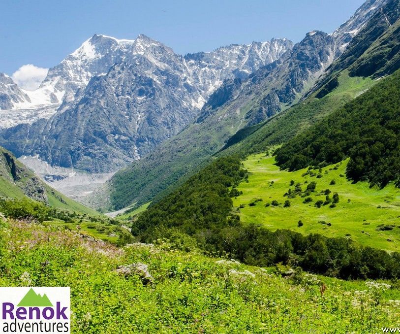 The Charming Valley of Flowers