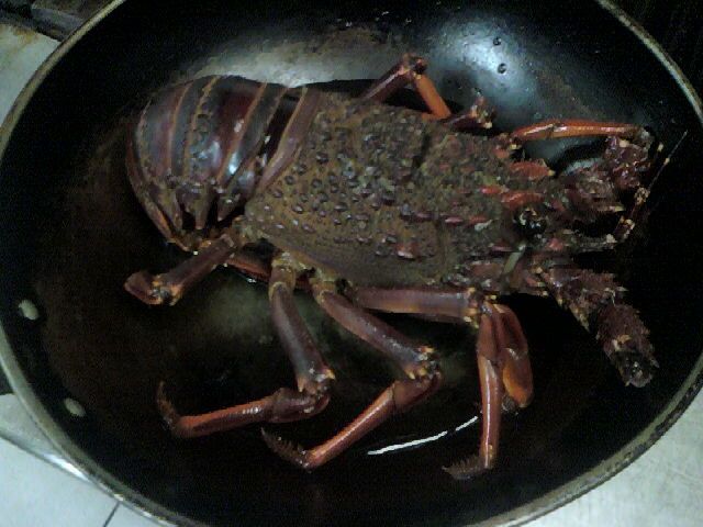 Rock Lobster Pondo-Style