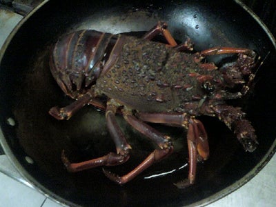 Rock Lobster Pondo-Style