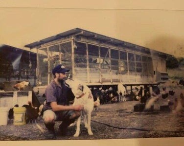 A Coop Coup: WinneEggo