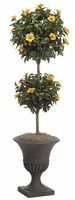 Indoor Topiary Best for Business Establishment