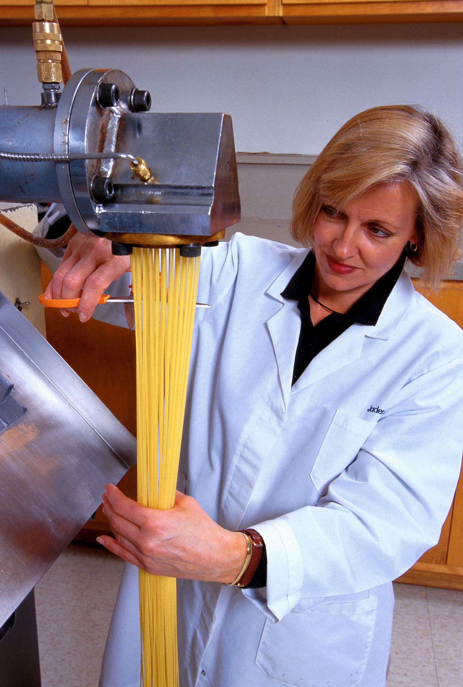 Toothsome Lamb Pasta