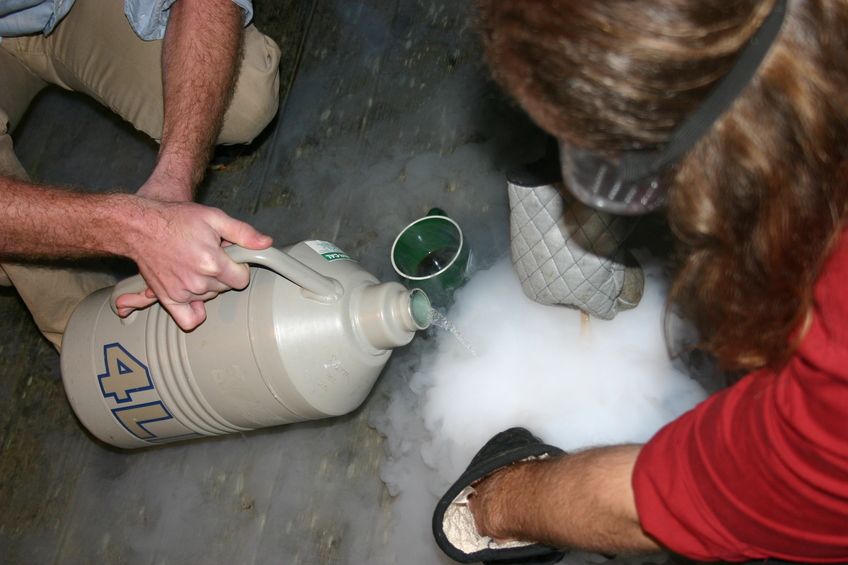 Liquid Nitrogen Ice Cream