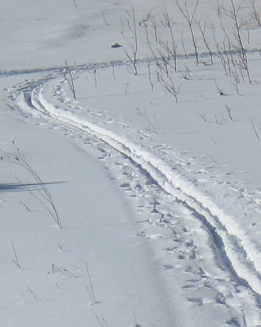 TrewRoad