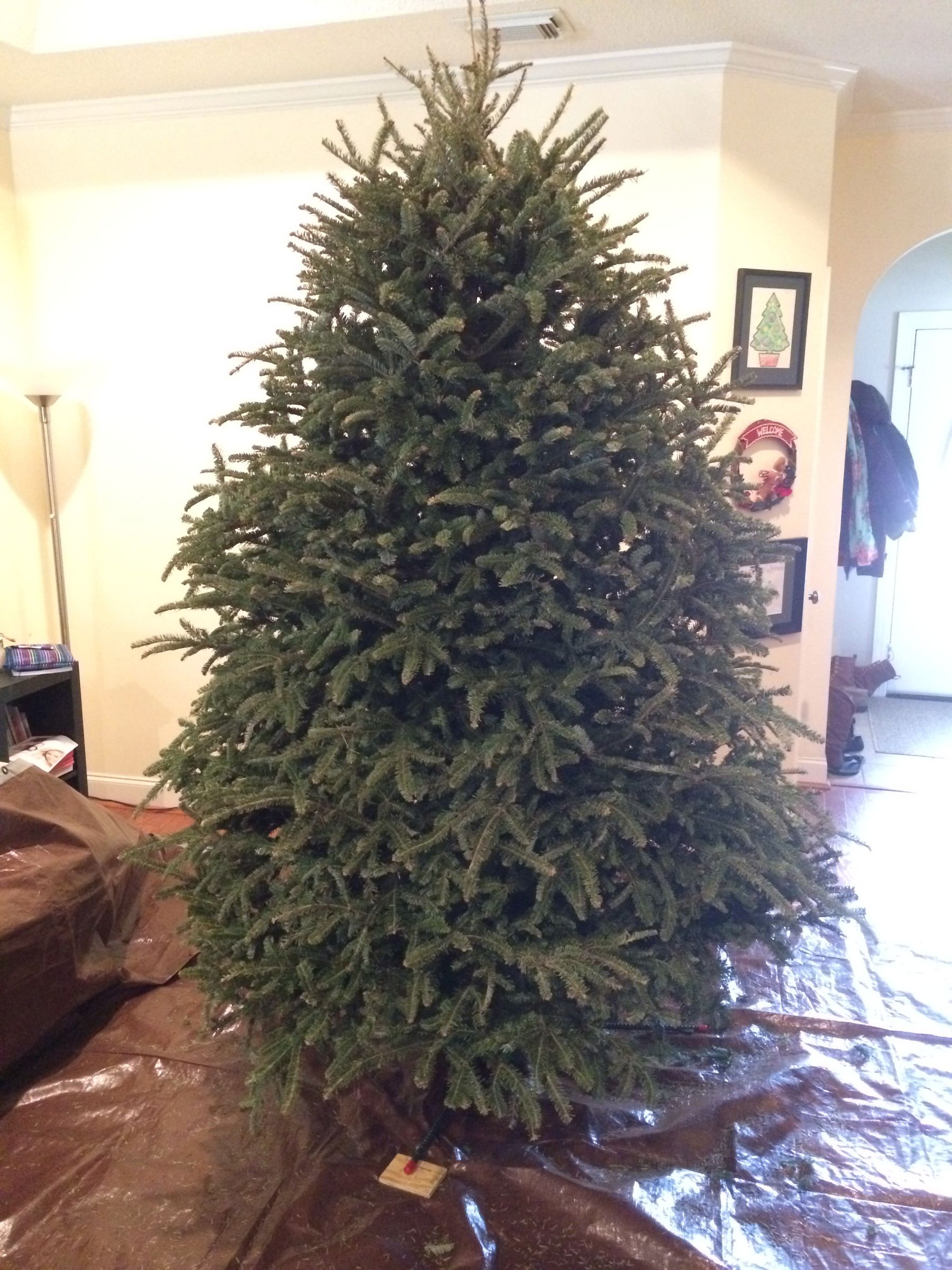 Less Messy Christmas Tree Removal 8 Steps (with Pictures) Instructables