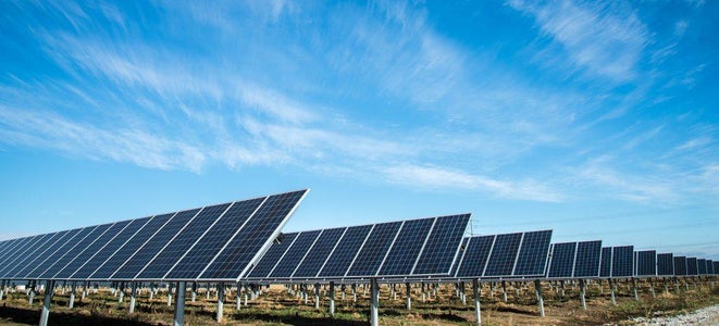 Mariagaard: Zonnezoeker "10000"