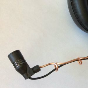 A Word About Microphones