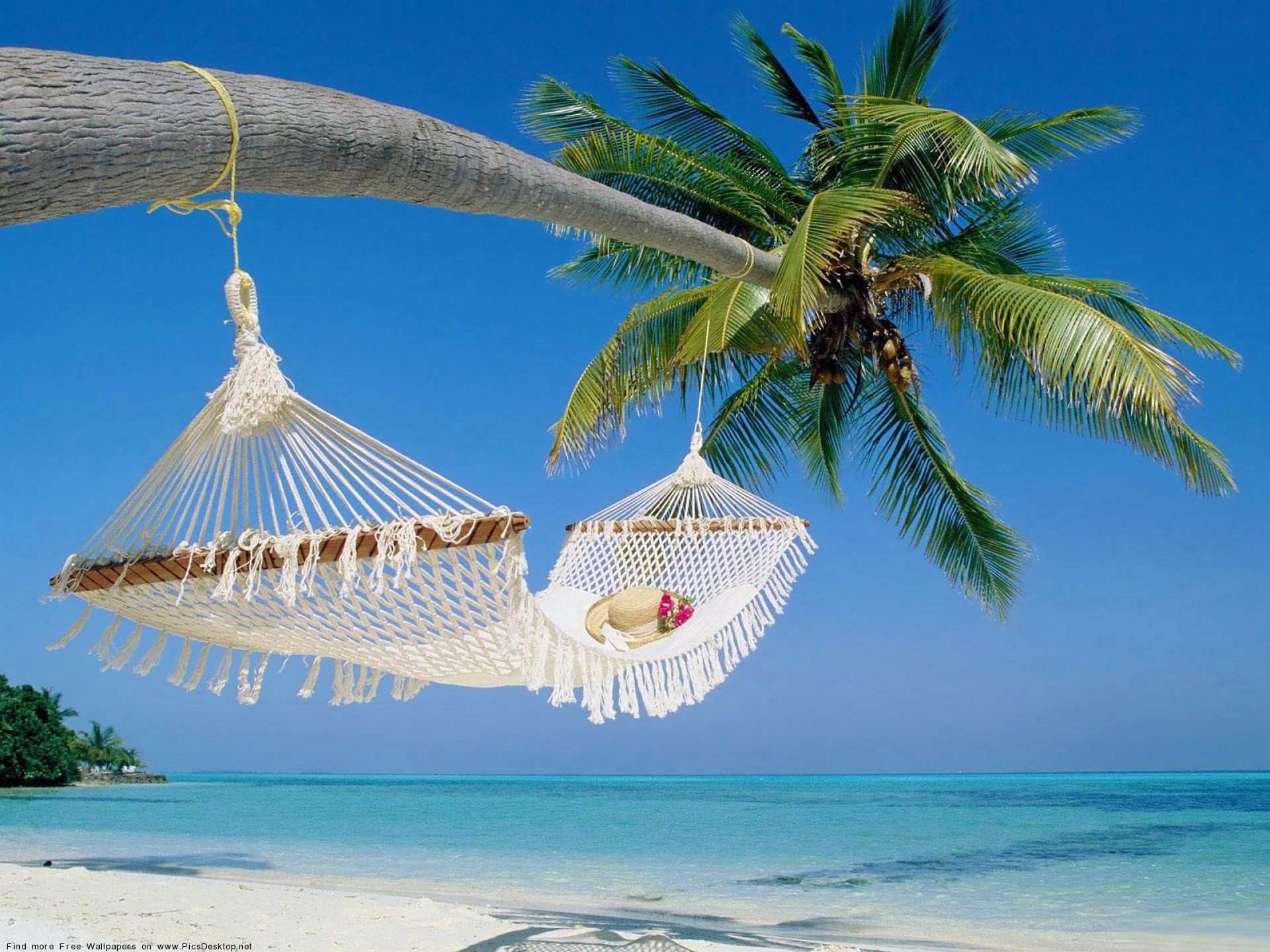 Fiji Offers Thrilling Adventurous Activities to Tourists