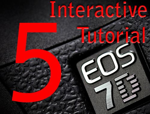 Lenses for Shooting Video With Canon 7D - Interactive Tutorial