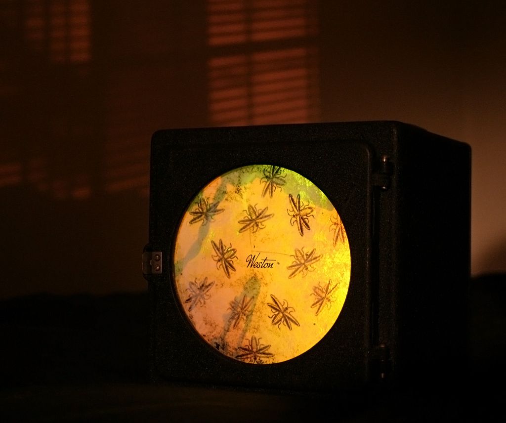 Fireflies - Analog Version... 