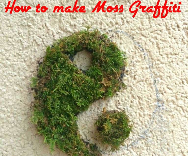 How to Make Moss Graffiti (%100 Working Method)