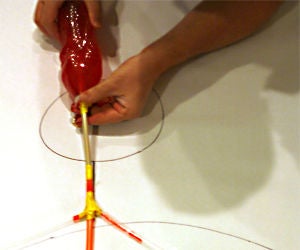 Circulatory System
