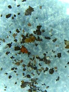 Searching for Micrometereorites