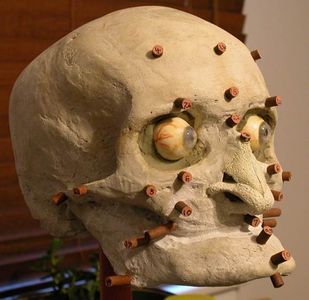 Finishing the Nasal Cartilage and Adding Depth Markers