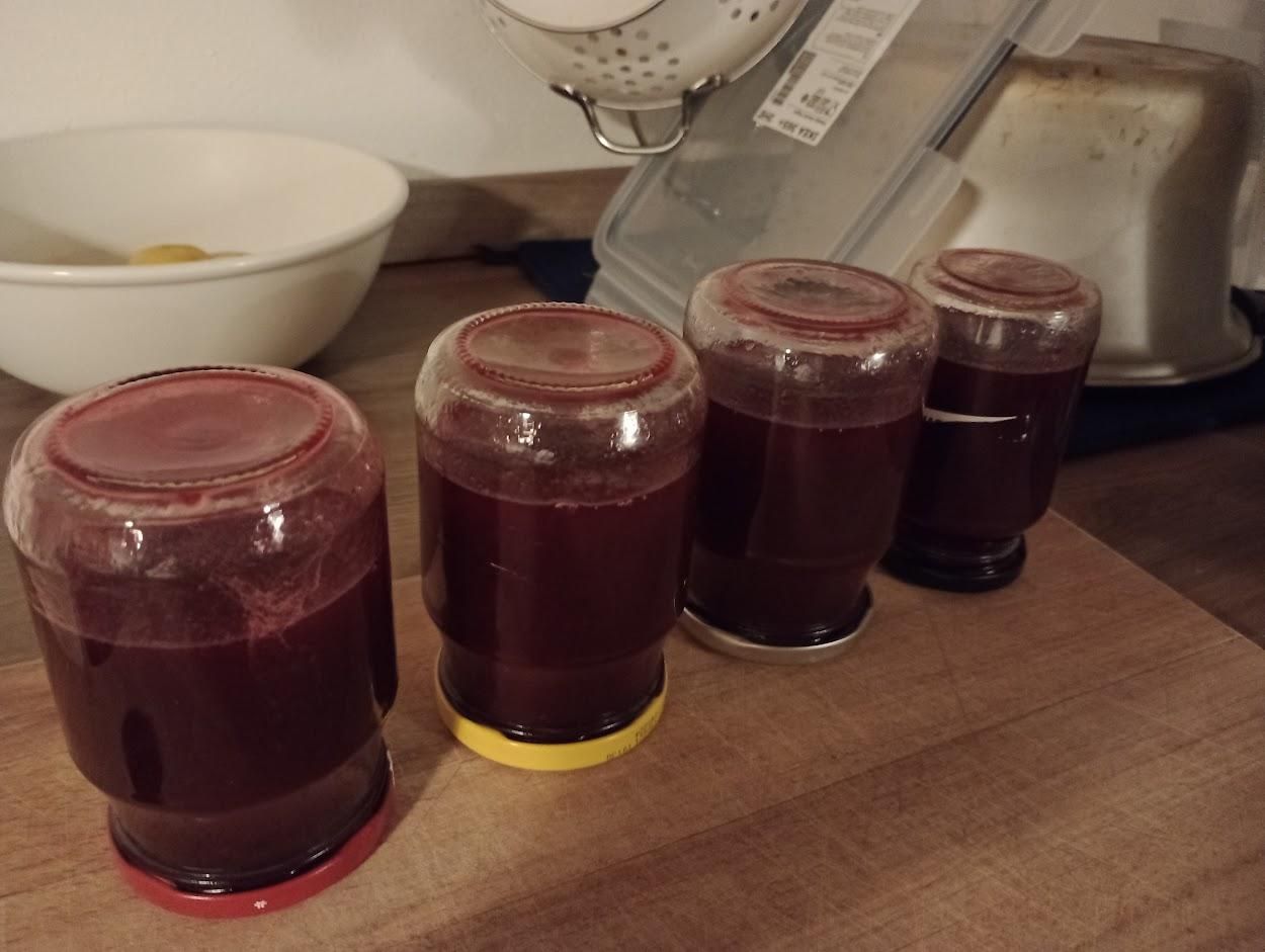 Sour Redcurrant Jam