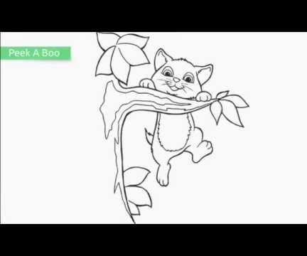 Top 20 Free Printable Cat Coloring Pages