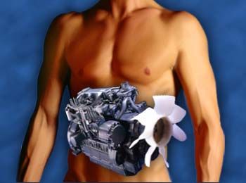 Speed-up Your Metabolism