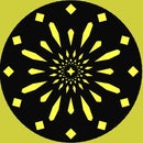 Making Patterns With Shutters