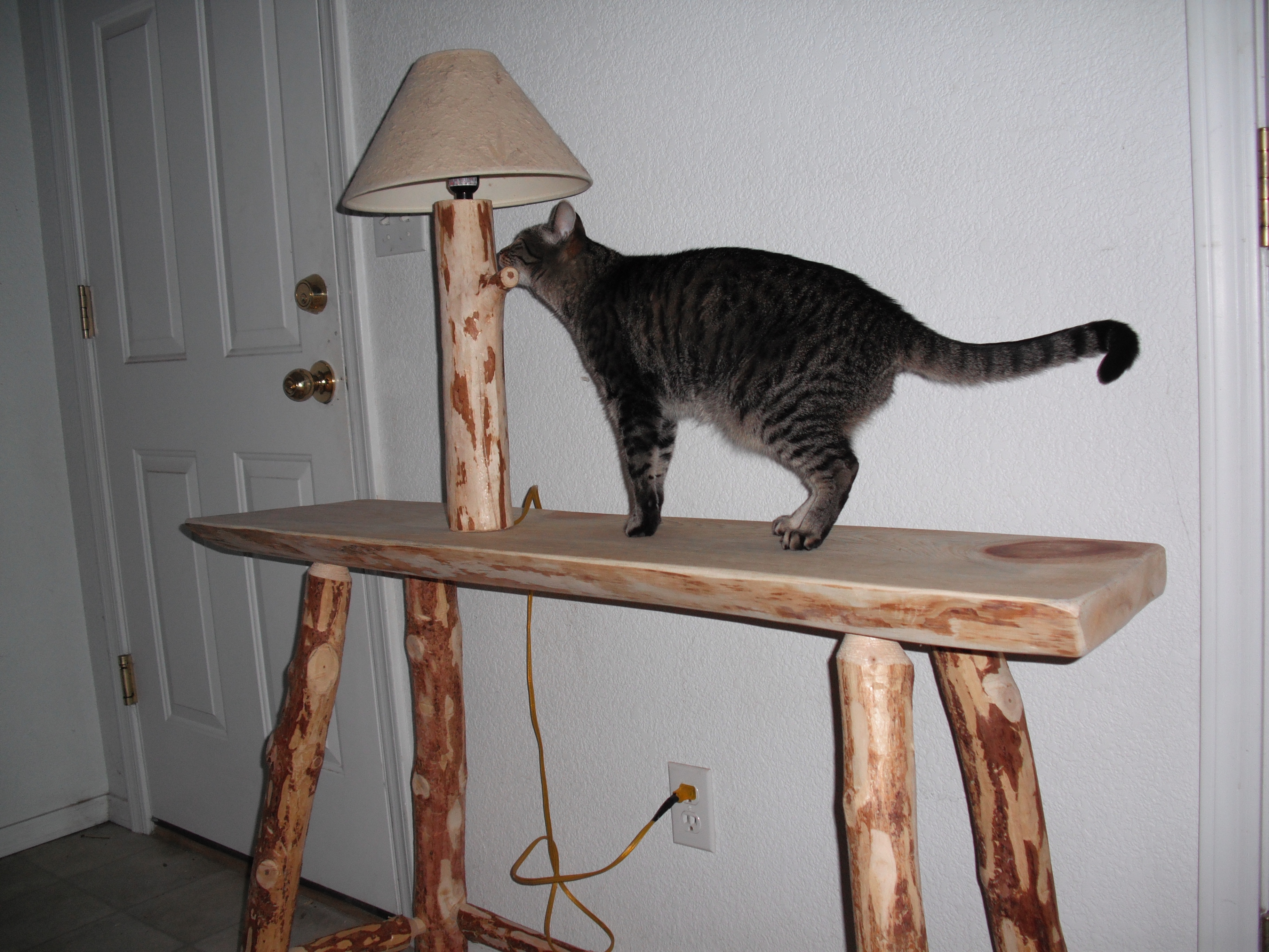 How to Build a Custom Pine Log Table