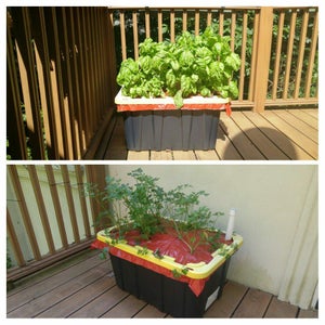 Oversize EarthBox-style Bottom Watering Container