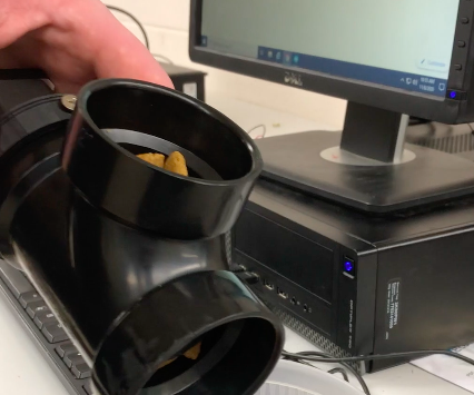 Auto Dog Feeder