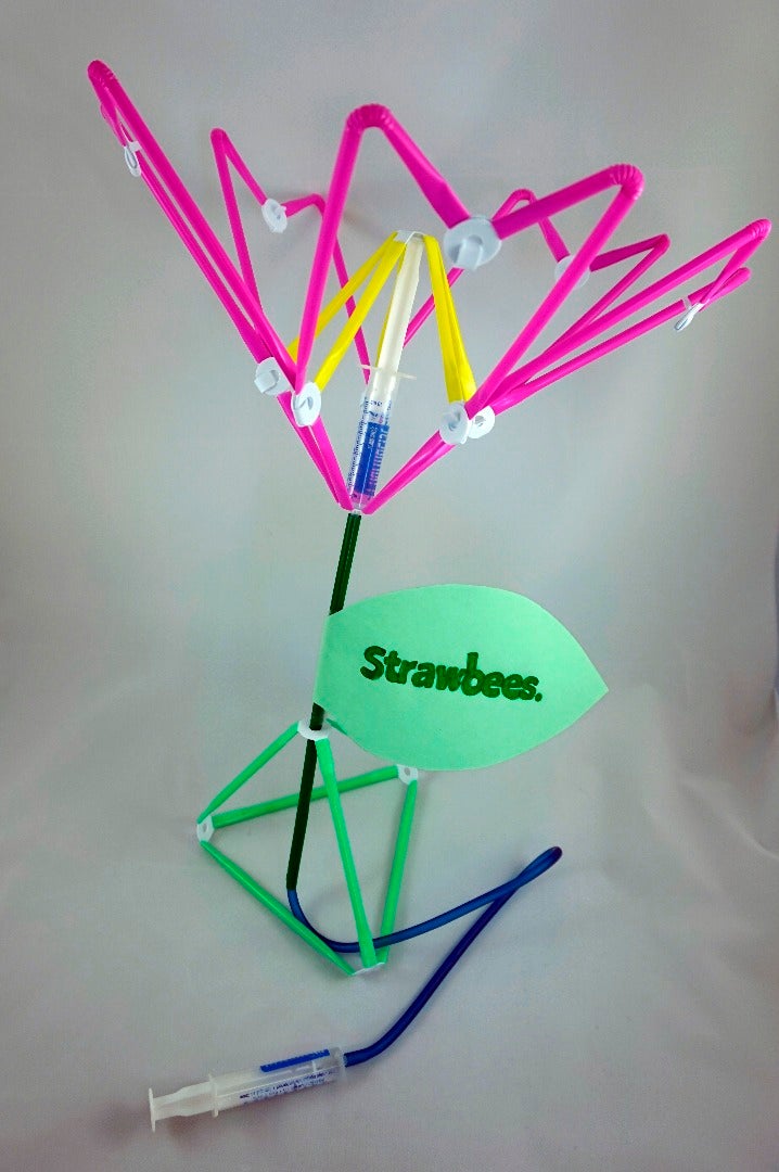 Strawbees Hydraulic Flower