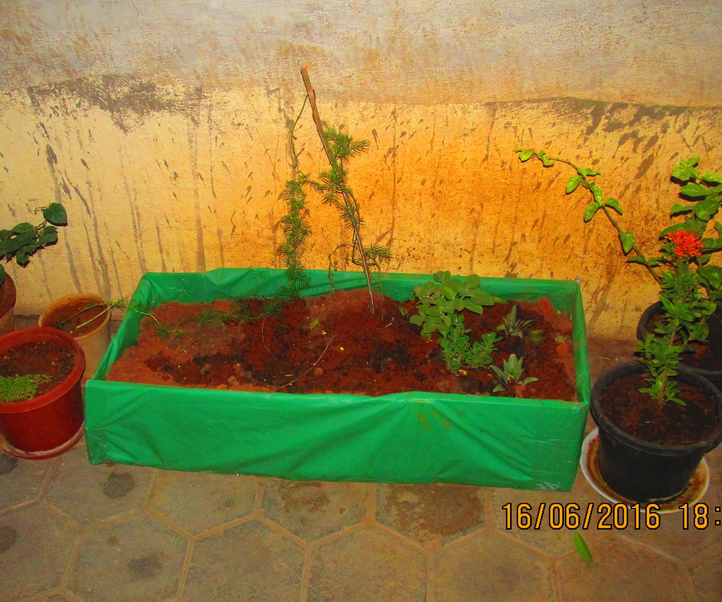 Mini Garden Out of a Reclaimed Wood