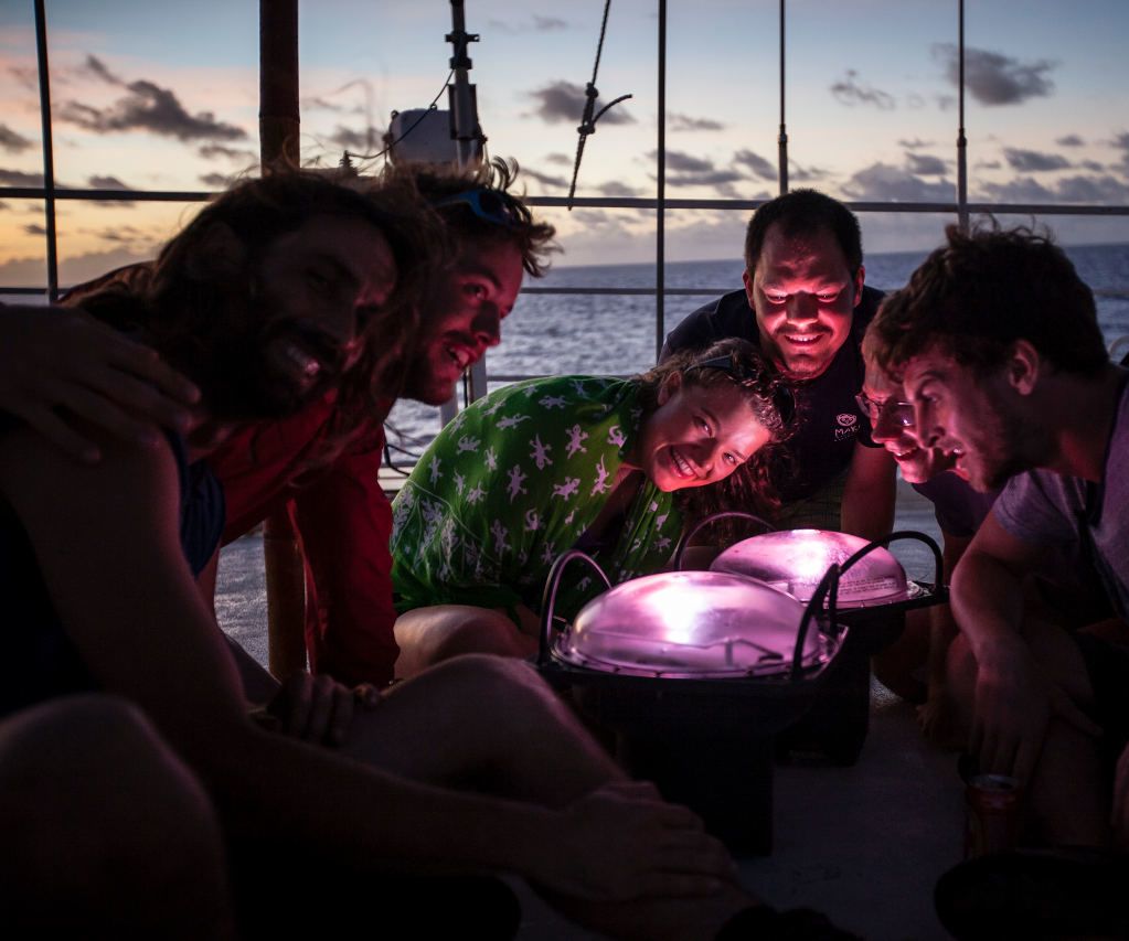 Solar-powered Lamp From Recycled Ocean Snare