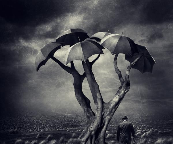 Testing With a Website in the Text