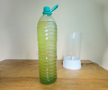 The Algae : Scenedesmus