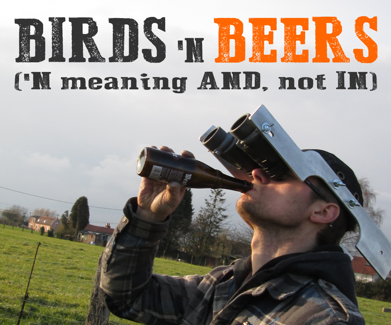 Handsfree Bird Watching