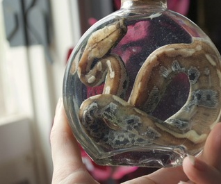 Python in a Bottle