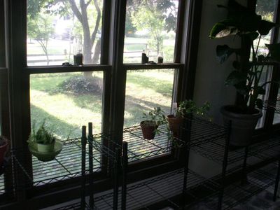 Step Five Irrigation / Lights / Heat