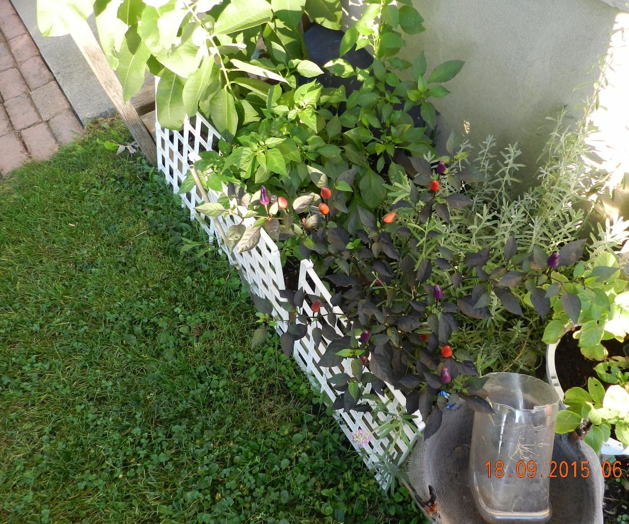Repurpose Solar Lite