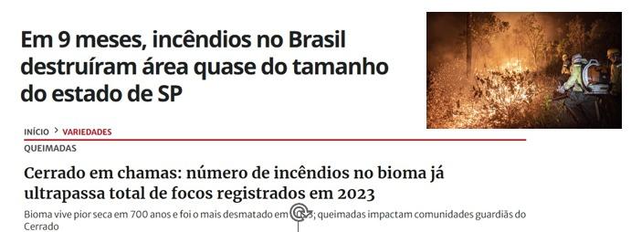 Identificação Do Problema E Pesquisa Bibliográfica