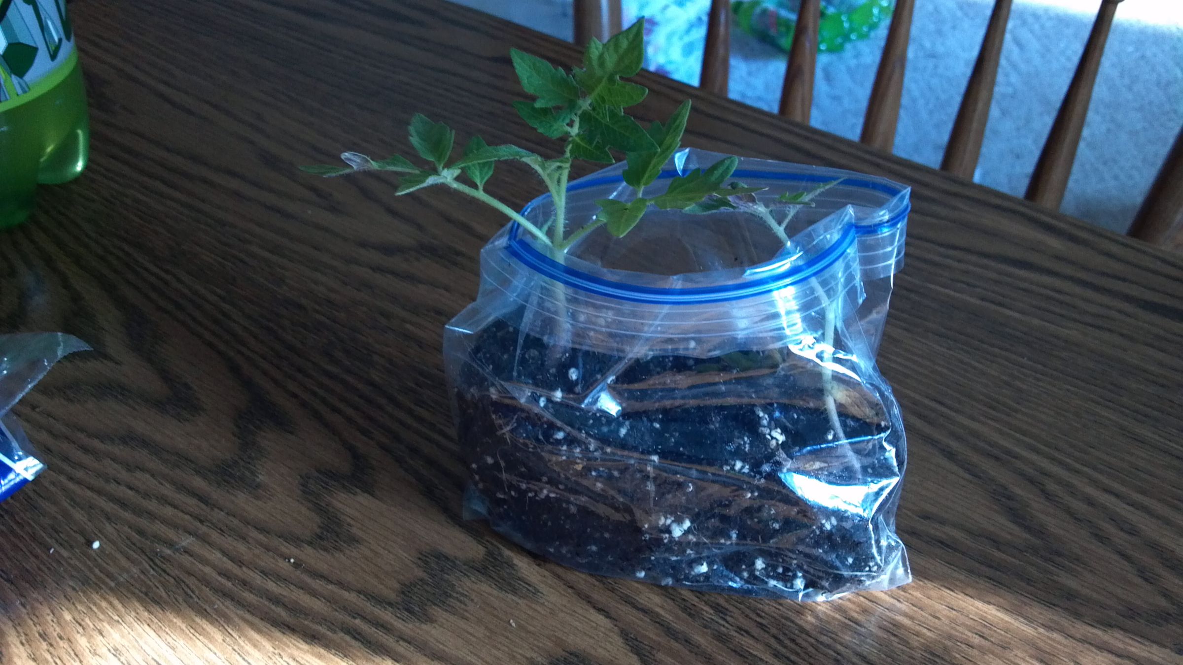 Getting Ready for the Spring Garden