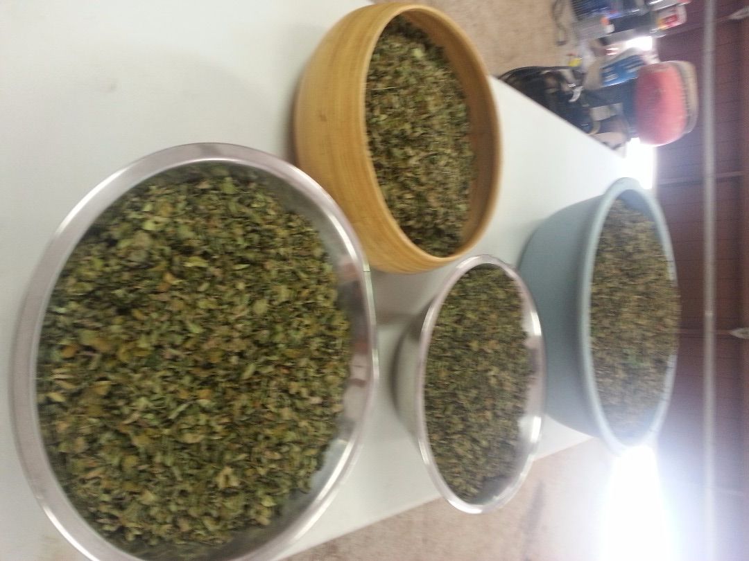 How to Make Moringa Powder : 7 Steps - Instructables