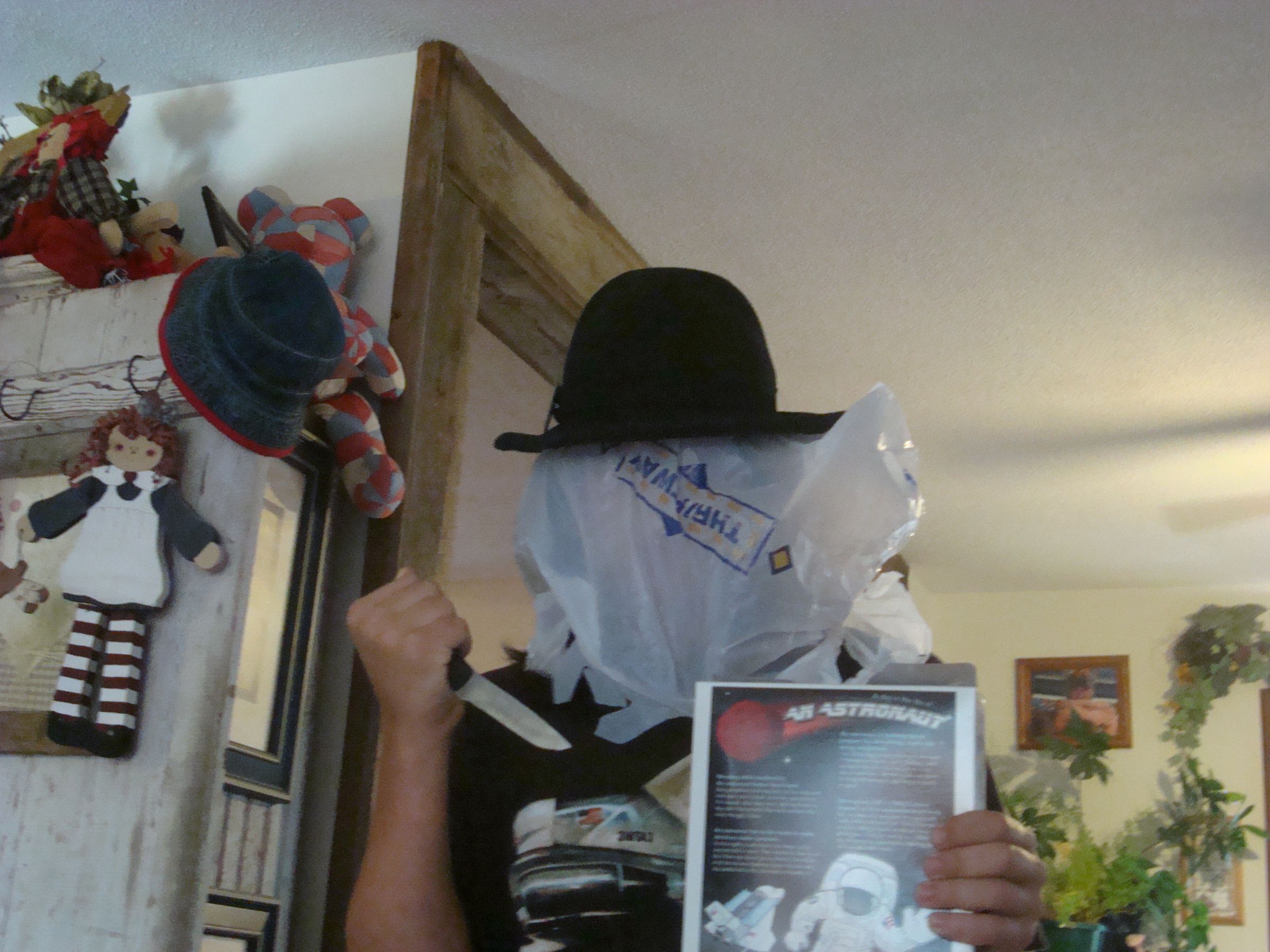 Disposable/Temporary Litter Box 5 Steps Instructables