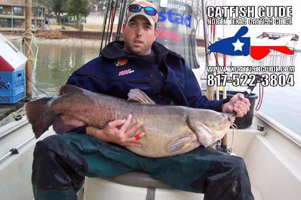 Understand Flathead Catfish Behavior