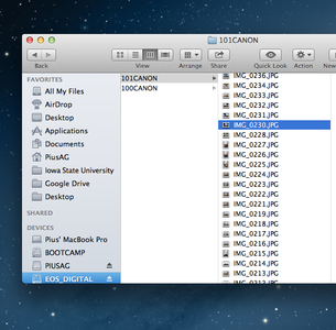 Preparing the Pictures